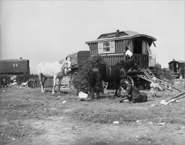 Gipsy Encampment 1930S