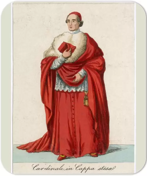 Cardinal Coppa Stesa