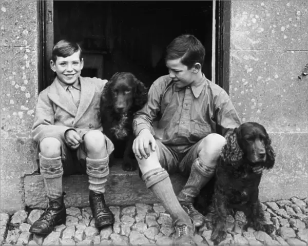 Boys and Spaniels