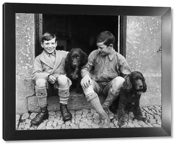 Boys and Spaniels