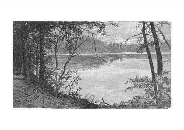 Thoreaus Pond