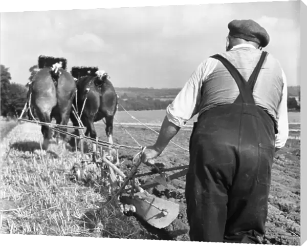Ploughing Contest 1950S