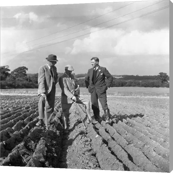 Ploughing Contest 1950S