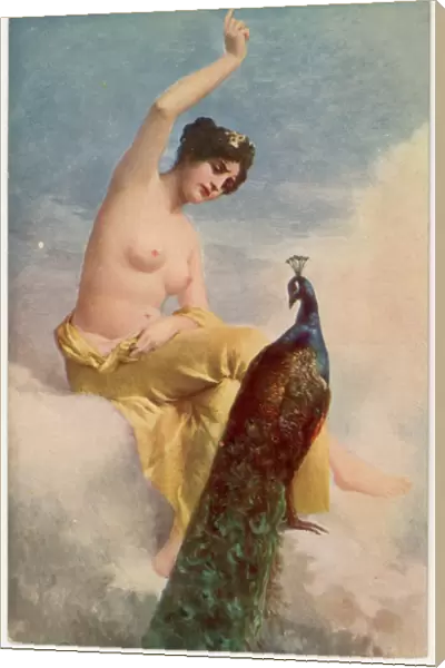 Juno and the Peacock