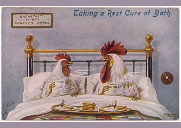 Cock, Hen in Bed
