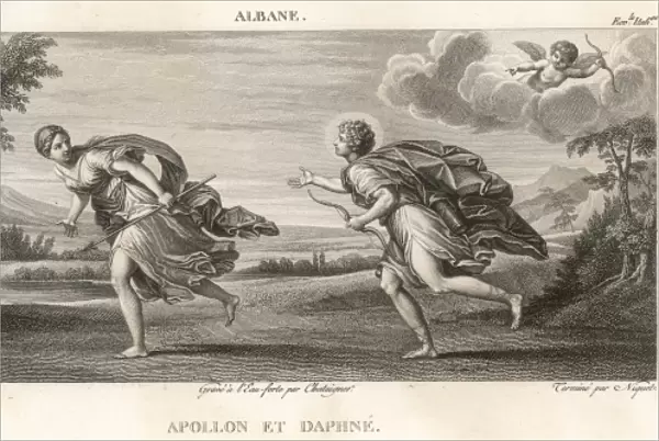 Daphne and Apollo