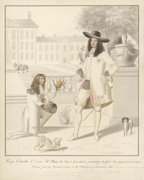 Charles II Pineapple