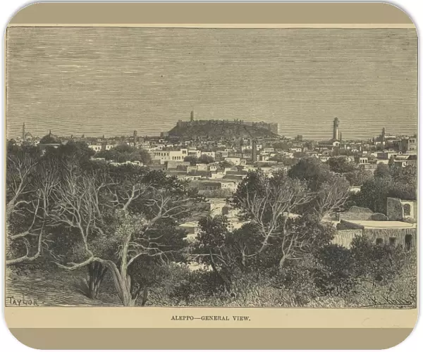 ALEPPO  /  SYRIA  /  1880