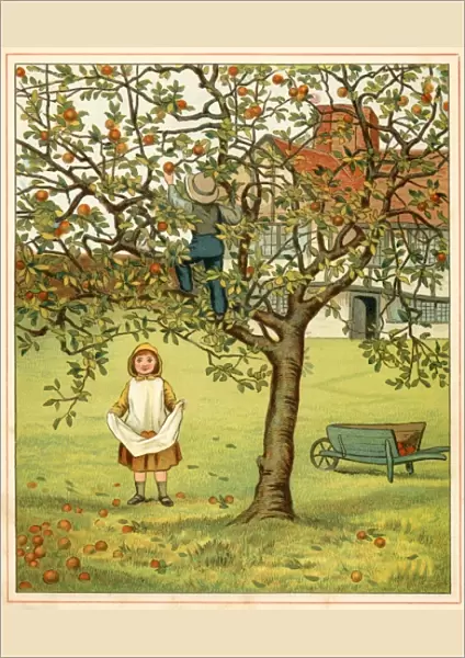 Girl Picks Fruit 1881
