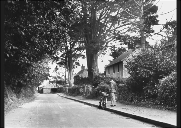 Lone Cyclist  /  Sussex  /  1940