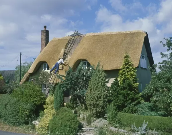 Thatching a Cottage