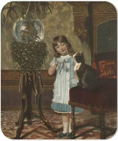 Girl with Cat  /  Goldfish
