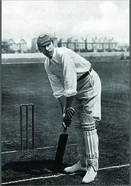 Cricketer, Gunn