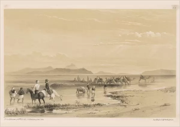 Watering Camels