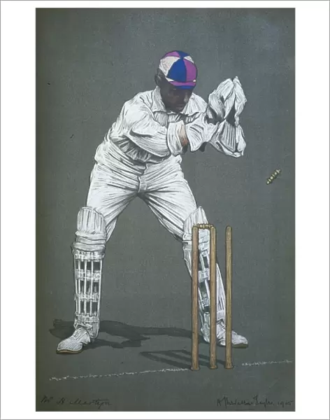 H Martyn - Cricketer