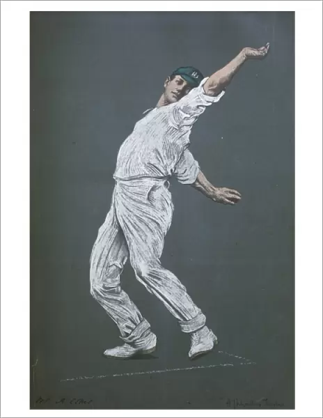A Cotter - Cricketer