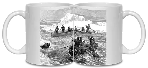 Walrus Hunting during the Pandora Arctic Expedition, 1876