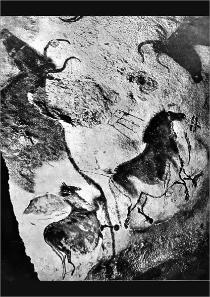 Cave art paintings, prehistoric discovery