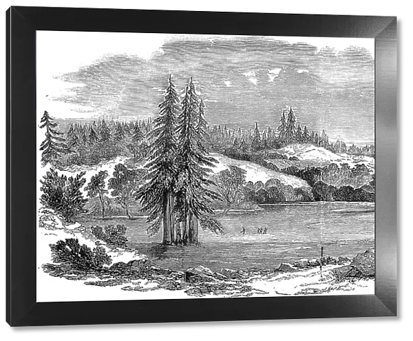 A view near Russian River, California, 1851