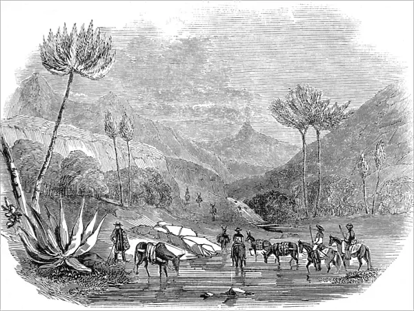 Mans Hand Mountain, Mexico, 1846