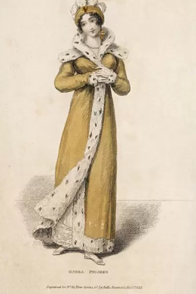 Lady in Opera Dress