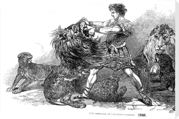 Isaac Van Amburgh and his lions, London, 1848