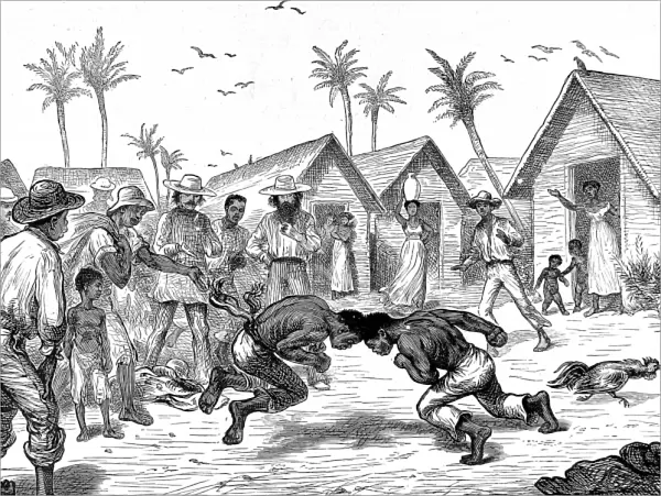 Head-butting fight in Venezuela, 1874