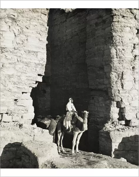 Camel driver at Petra, Jordan