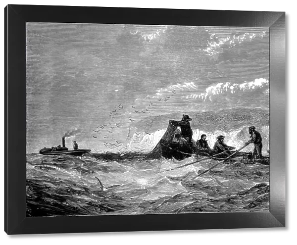 Fishing for Pilchards, 1871