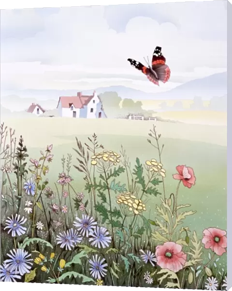 Rural scene with flowers and butterfly