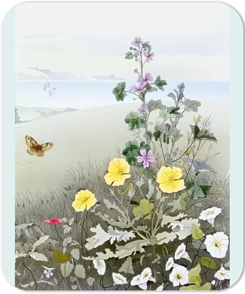 Rural scene with flowers and a butterfly