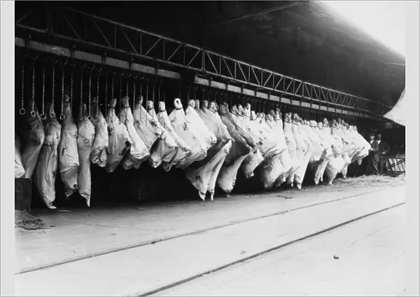 Meat in storage, World War I