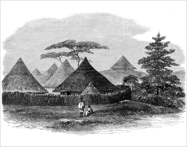 Abyssinian Expedition