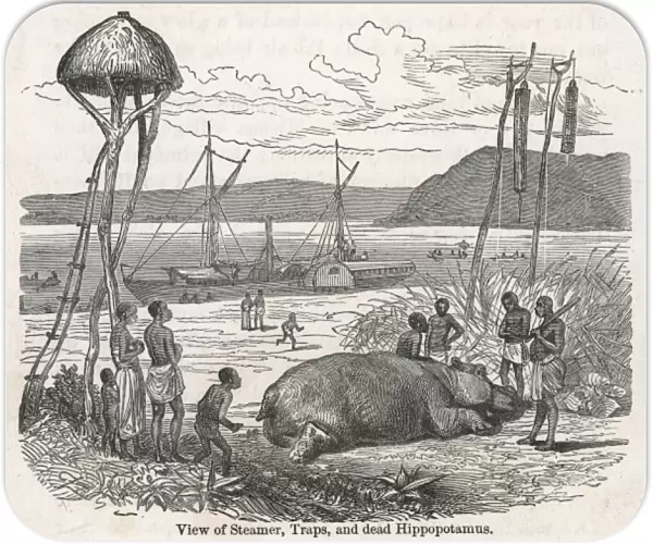 View of stamer, traps and dead hippo  /  Livingstone expedition