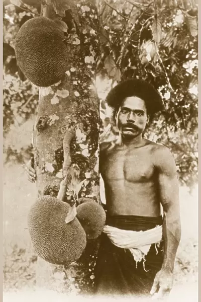 Fijian Man and Jackfruit Tree