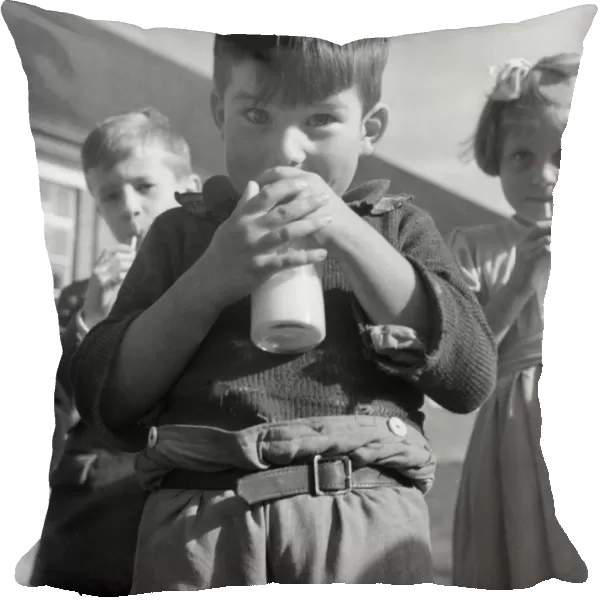 Milk for school children, 1955