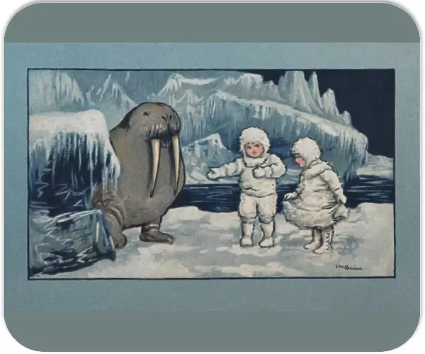 Walrus and children