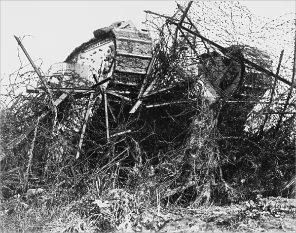 Tank in barbed wire 1917