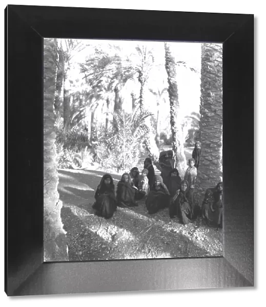 Women gathered below palms - Iran