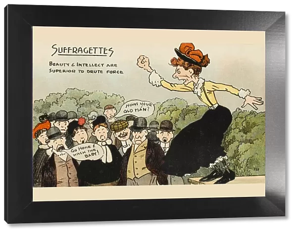 Anti-Suffrage Cartoon