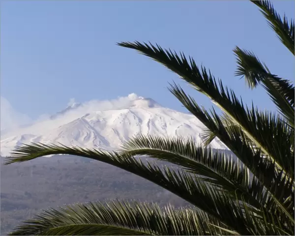 Mount Etna, with palm fronds, Sicily, Italy