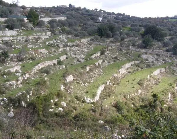 Dry stone walls, Valle dell Anapo, Ferla, Sicily, Italy