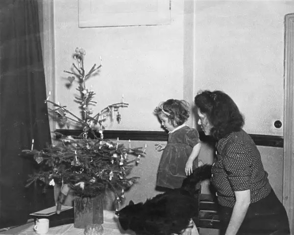 Mother, daughter and Christmas tree