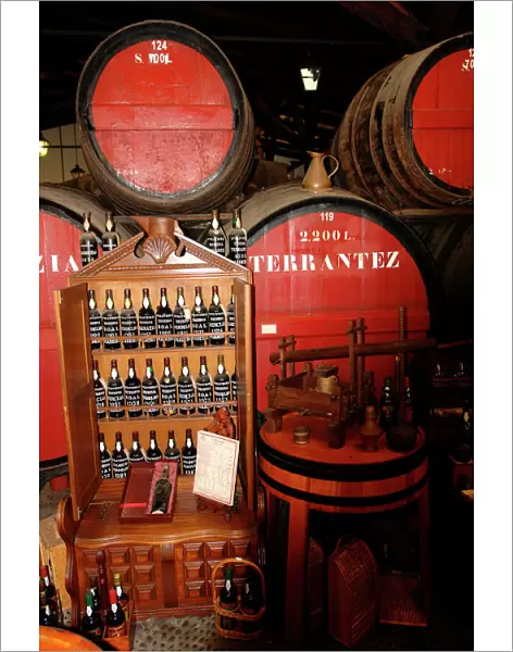 Wine bottles and casks, D Oliveiras Lda, Madeira, Portugal