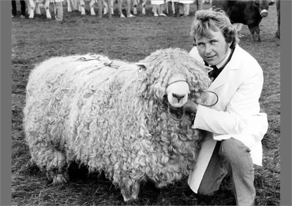 Champion sheep at the Royal Cornwall Show