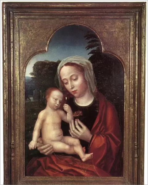 Madonna and Child by Adriaen Isenbrant