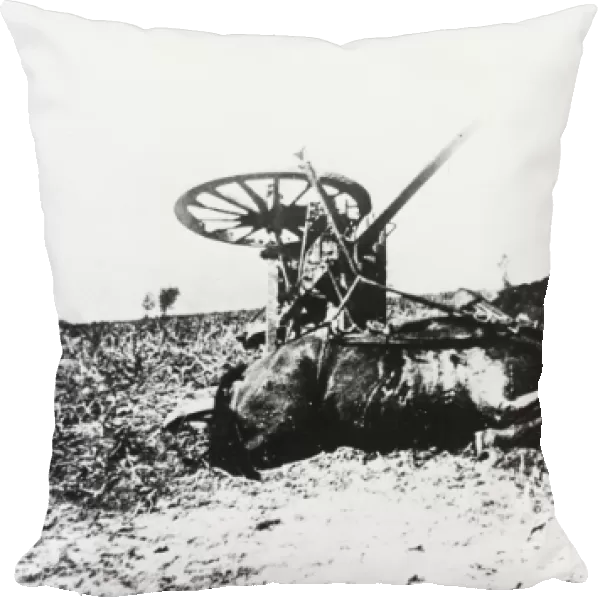 Destroyed German cart WWI