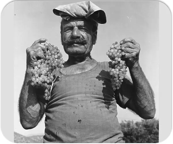 Man holding two bunches of white grapes