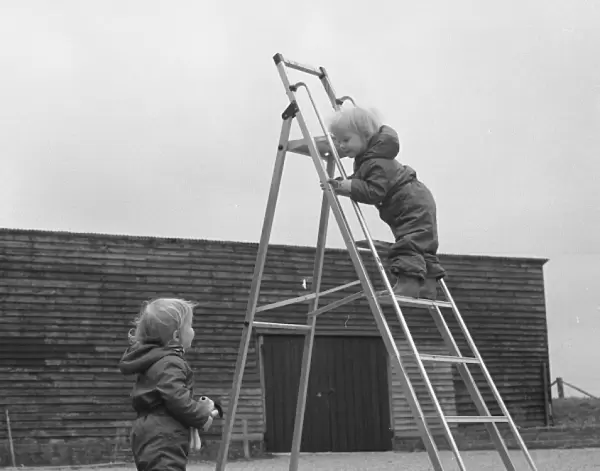Two toddlers playing with a step ladder