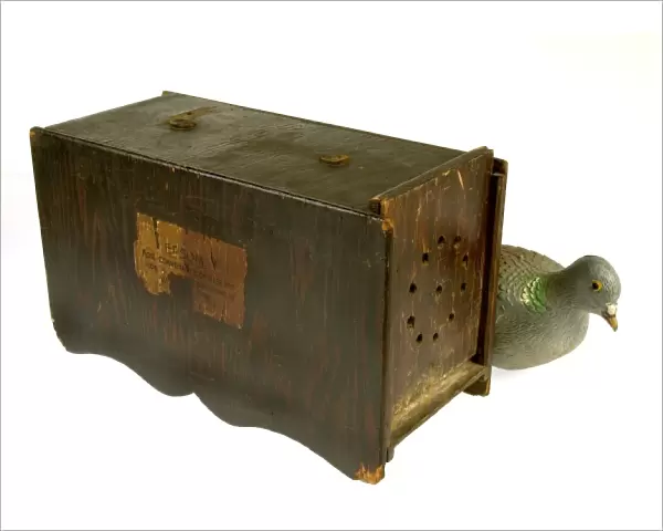 Dove or pigeon box